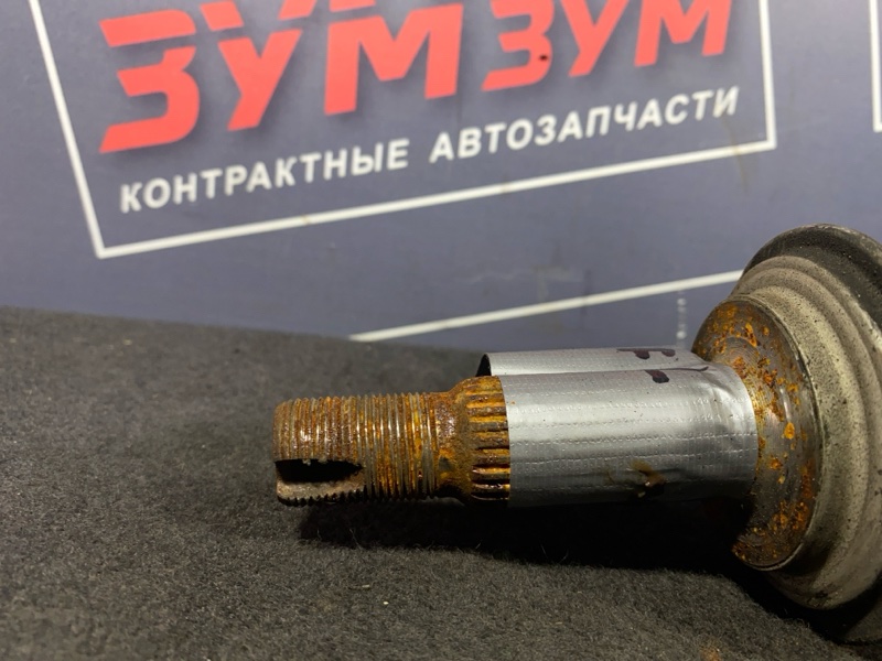 Привод, 3000 рублей, Солонцы