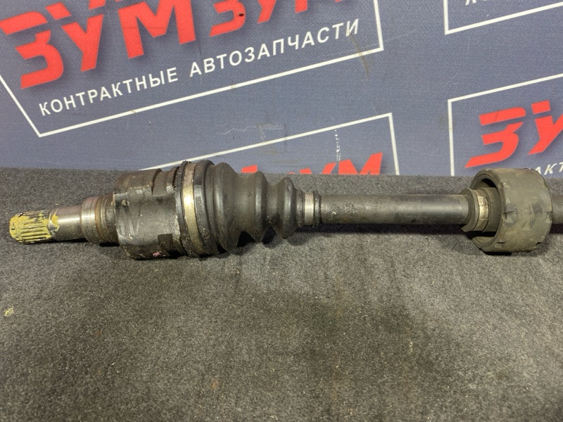 Привод, 1800 рублей, Солонцы