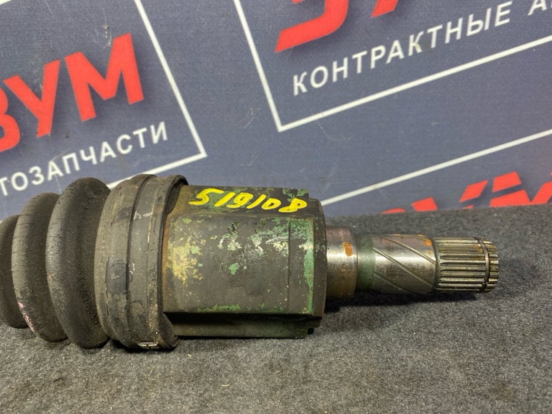 Привод, 4500 рублей, Солонцы