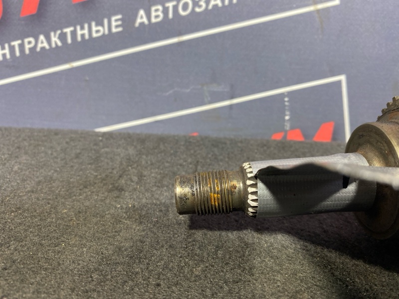 Привод, 9000 рублей, Солонцы