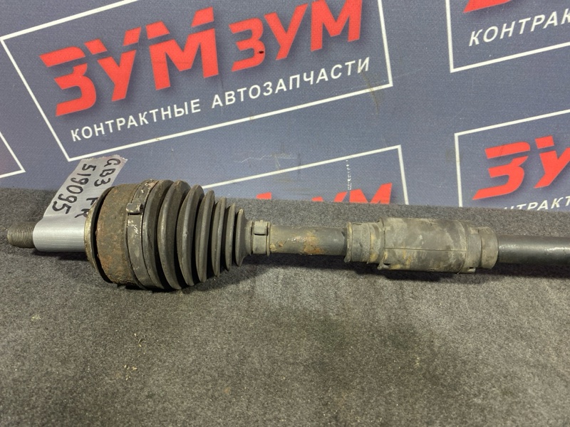 Привод, 1200 рублей, Солонцы