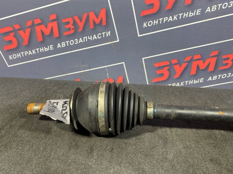 Привод, 3000 рублей, Солонцы