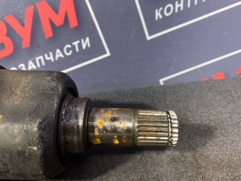 Привод, 2500 рублей, Солонцы