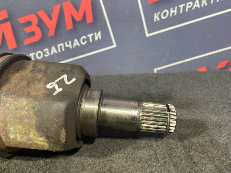 Привод, 5500 рублей, Солонцы