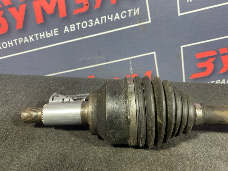 Привод, 3000 рублей, Солонцы