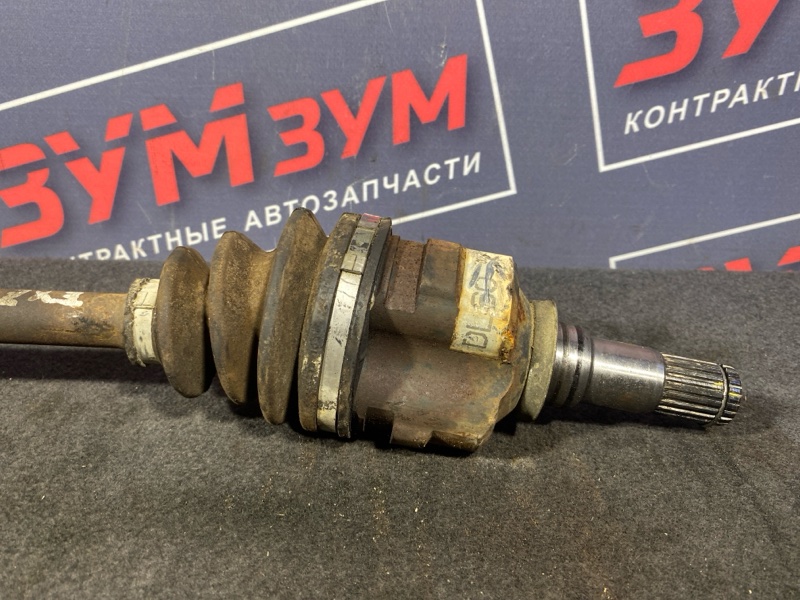 Привод, 3400 рублей, Солонцы