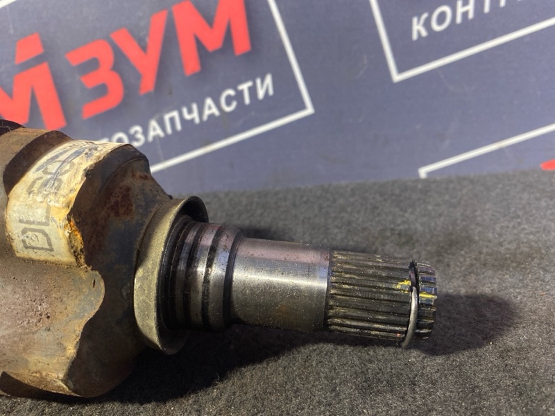 Привод, 3400 рублей, Солонцы