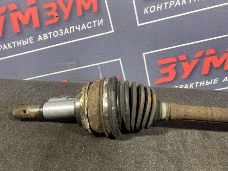 Привод, 5000 рублей, Солонцы