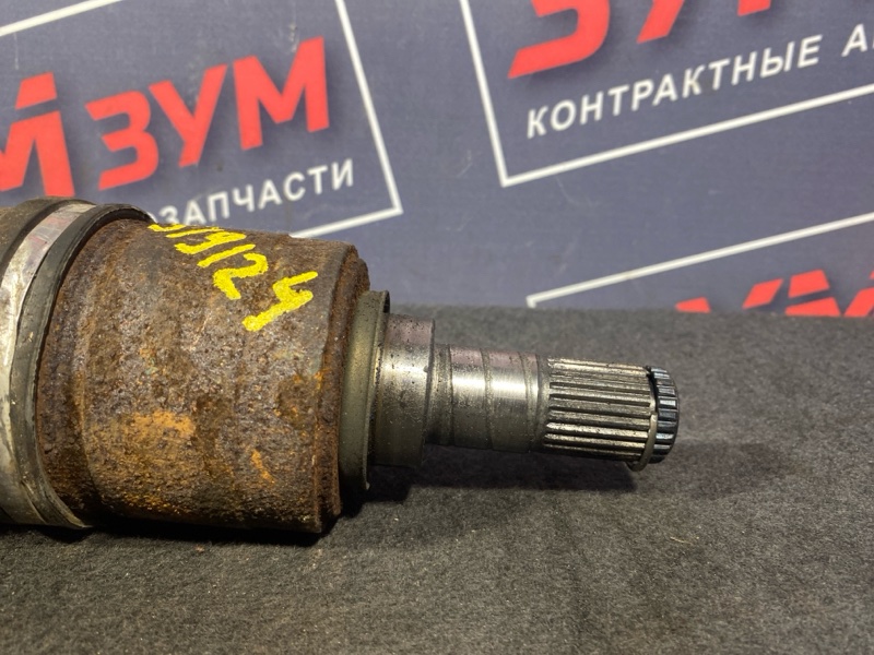Привод, 5000 рублей, Солонцы