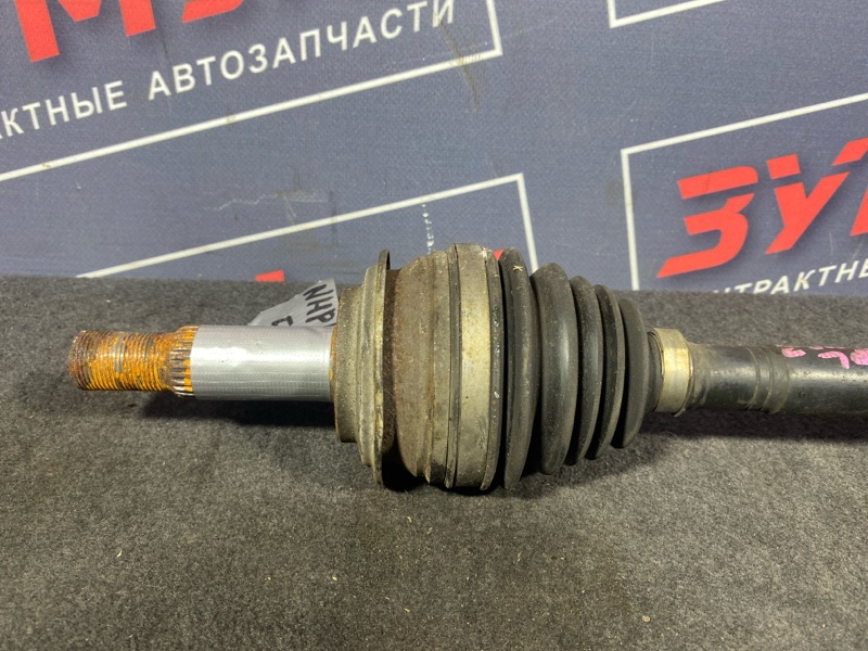 Привод, 7000 рублей, Солонцы