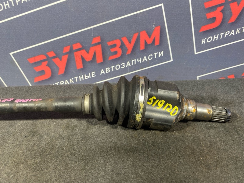 Привод, 7000 рублей, Солонцы