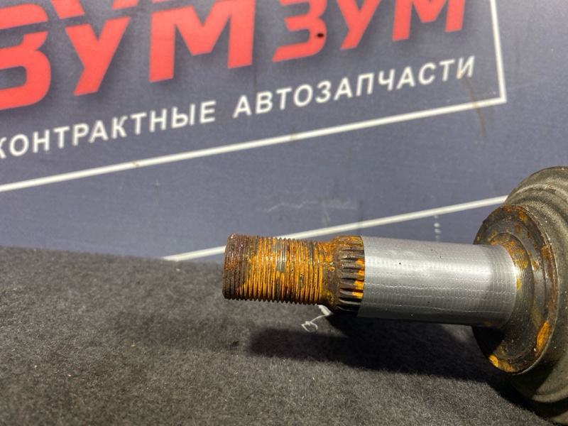 Привод, 7000 рублей, Солонцы