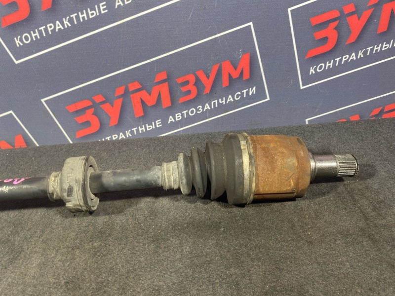 Привод, 6500 рублей, Солонцы
