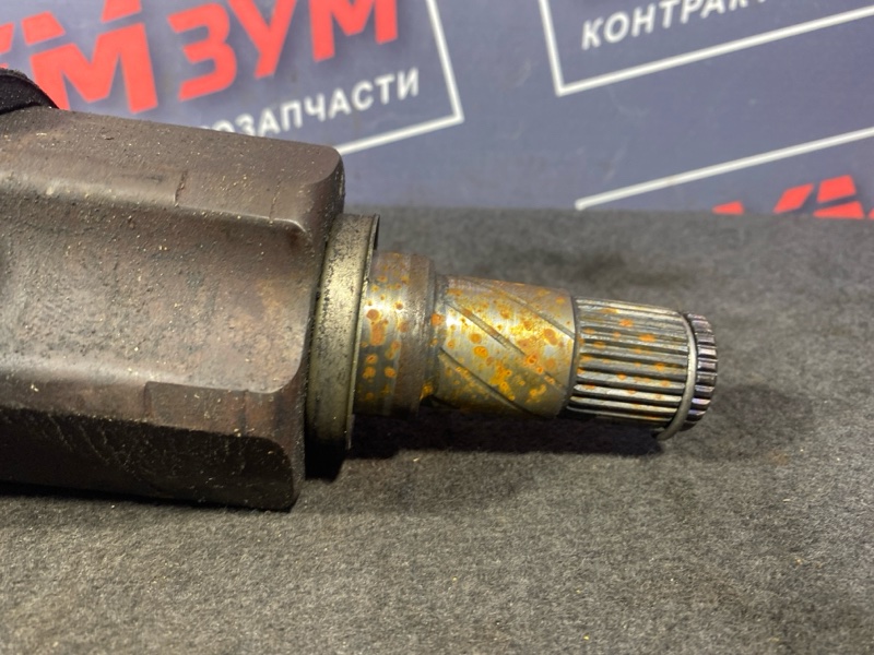 Привод, 4500 рублей, Солонцы