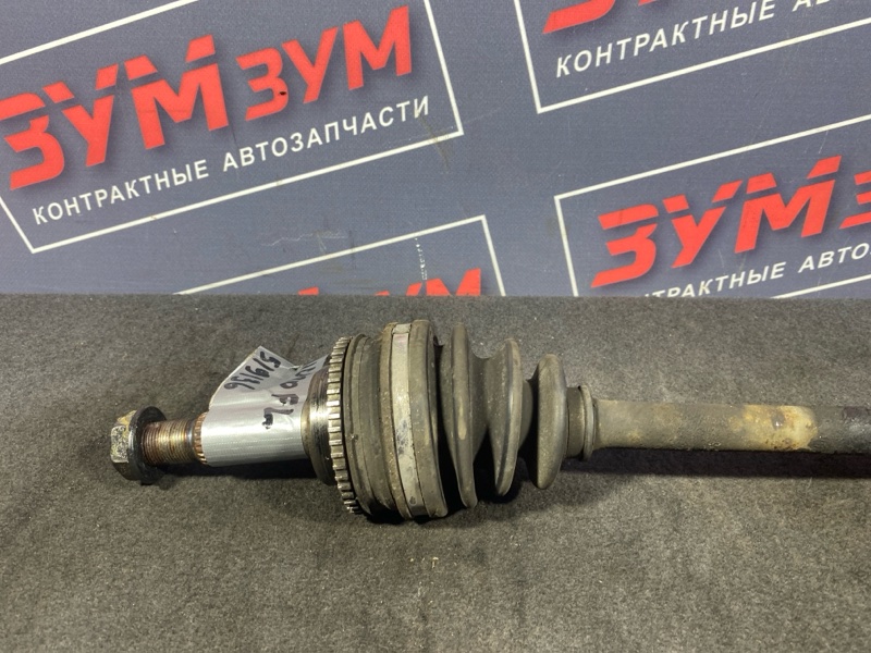 Привод, 1800 рублей, Солонцы