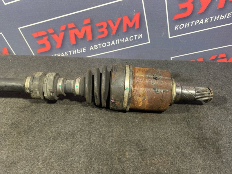 Привод, 9500 рублей, Солонцы