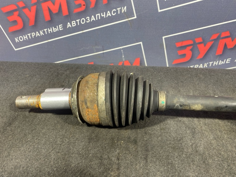 Привод, 9500 рублей, Солонцы