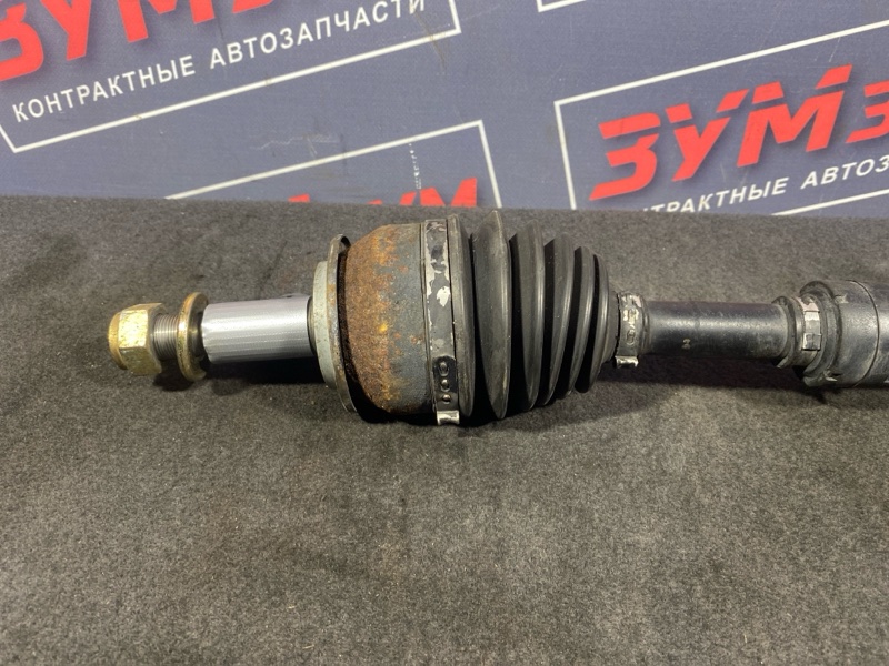 Привод, 2500 рублей, Солонцы