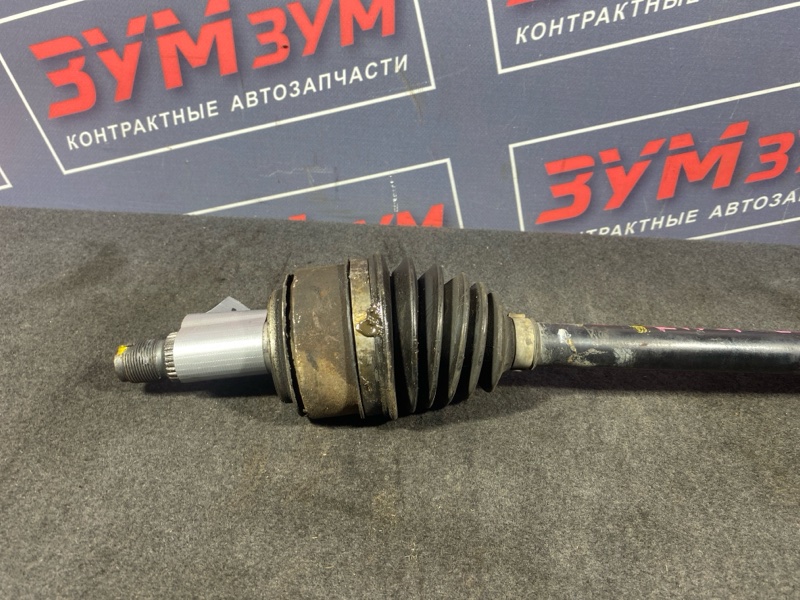 Привод, 11500 рублей, Солонцы