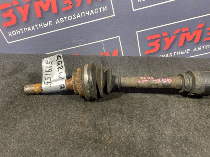 Привод, 3000 рублей, Солонцы