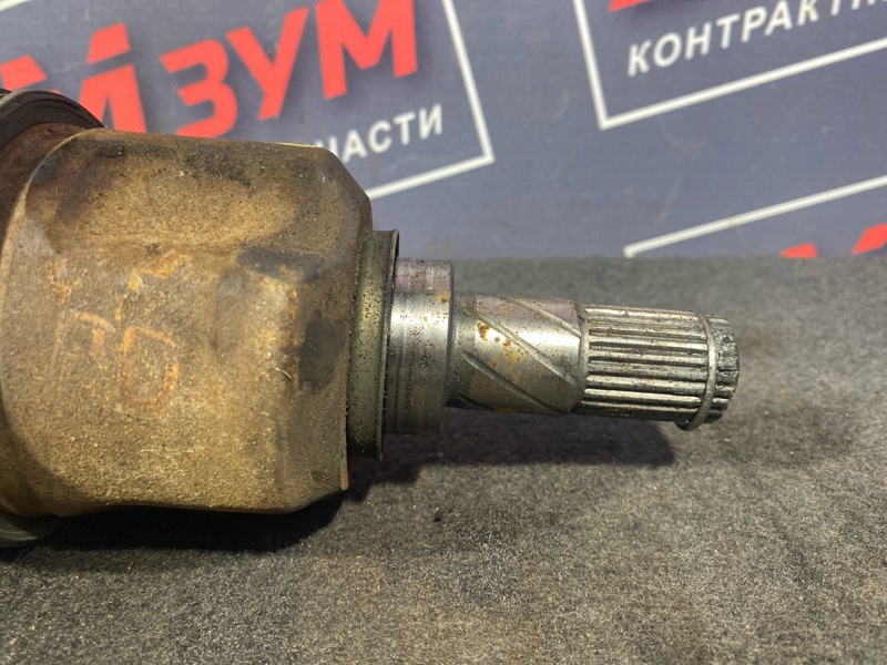 Привод, 5500 рублей, Солонцы