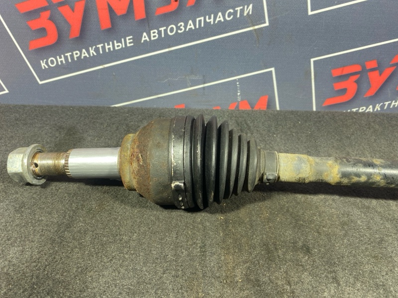 Привод, 2700 рублей, Солонцы