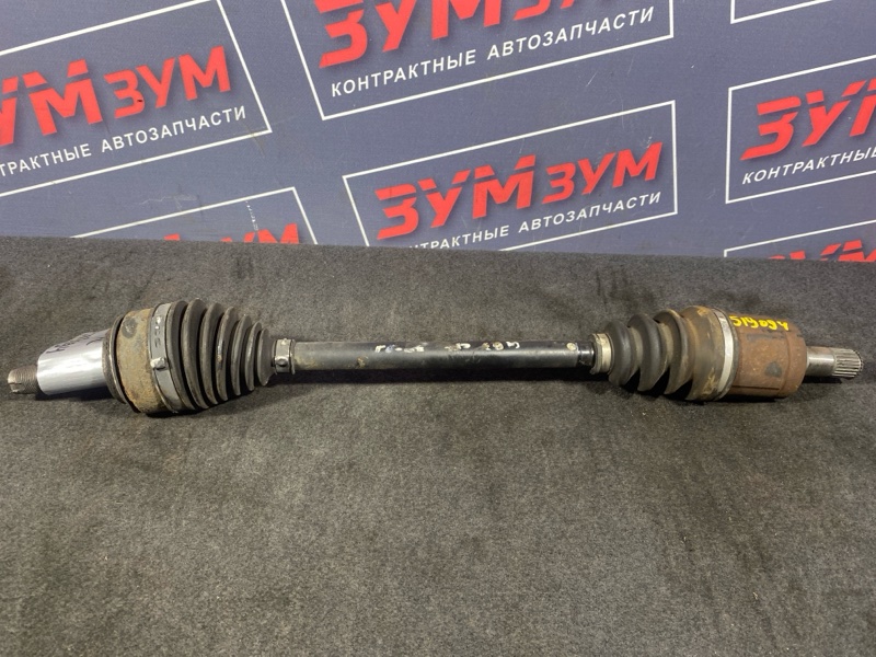 Привод, 1200 рублей, Солонцы