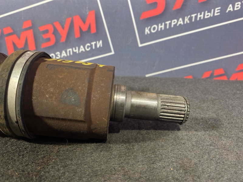 Привод, 1200 рублей, Солонцы