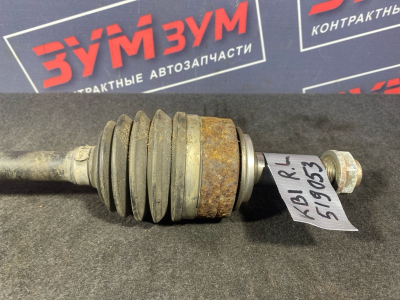 Привод, 3000 рублей, Солонцы