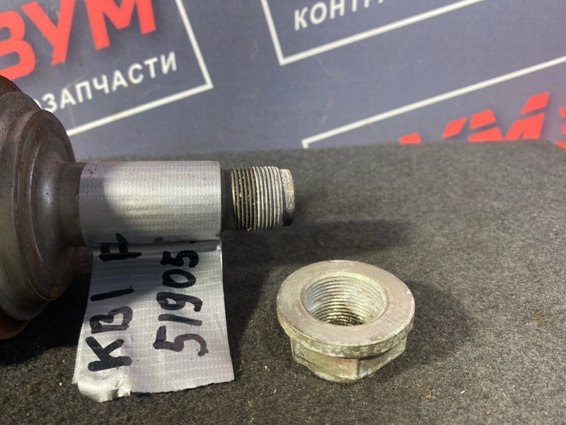 Привод, 4000 рублей, Солонцы
