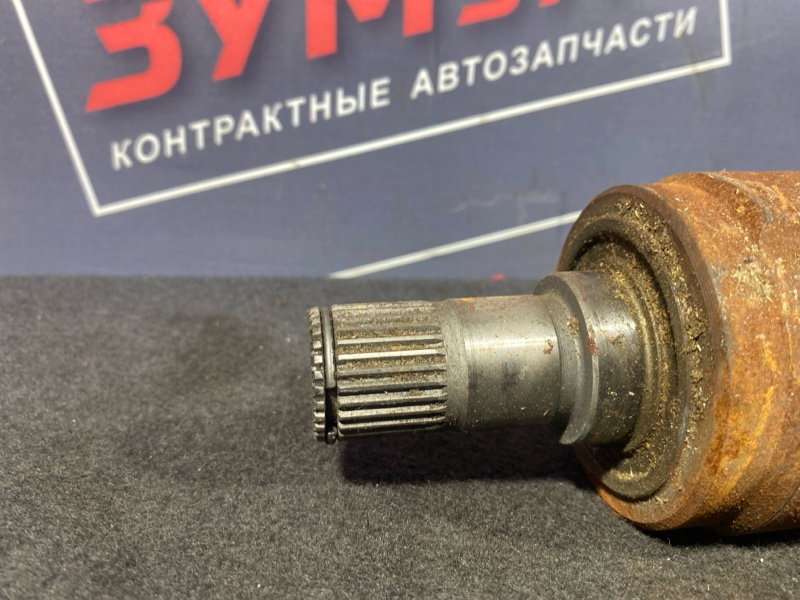 Привод, 4000 рублей, Солонцы