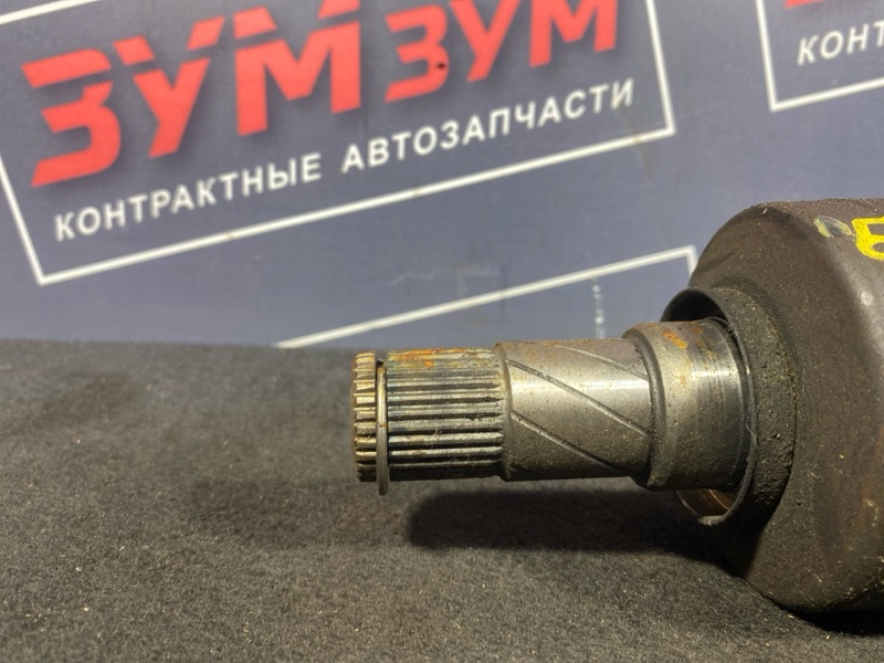 Привод, 3800 рублей, Солонцы