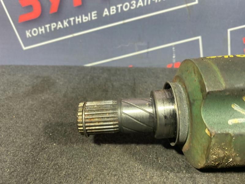 Привод, 2500 рублей, Солонцы