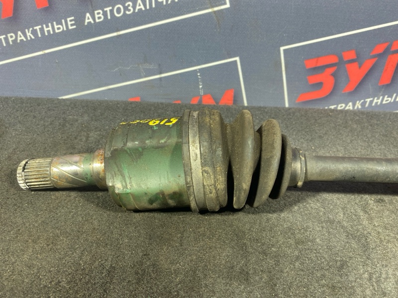 Привод, 3500 рублей, Солонцы