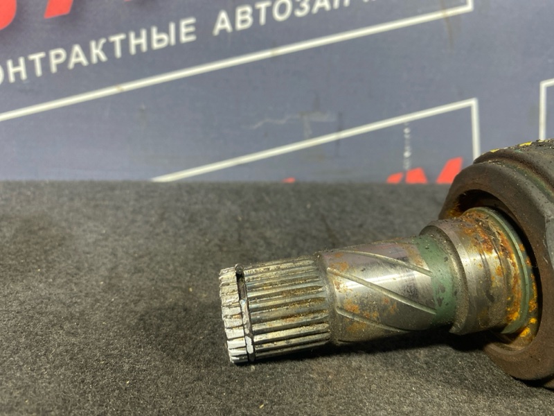 Привод, 3500 рублей, Солонцы