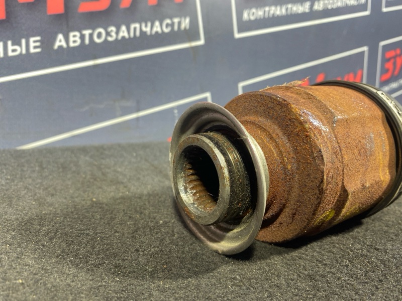 Привод, 14000 рублей, Солонцы