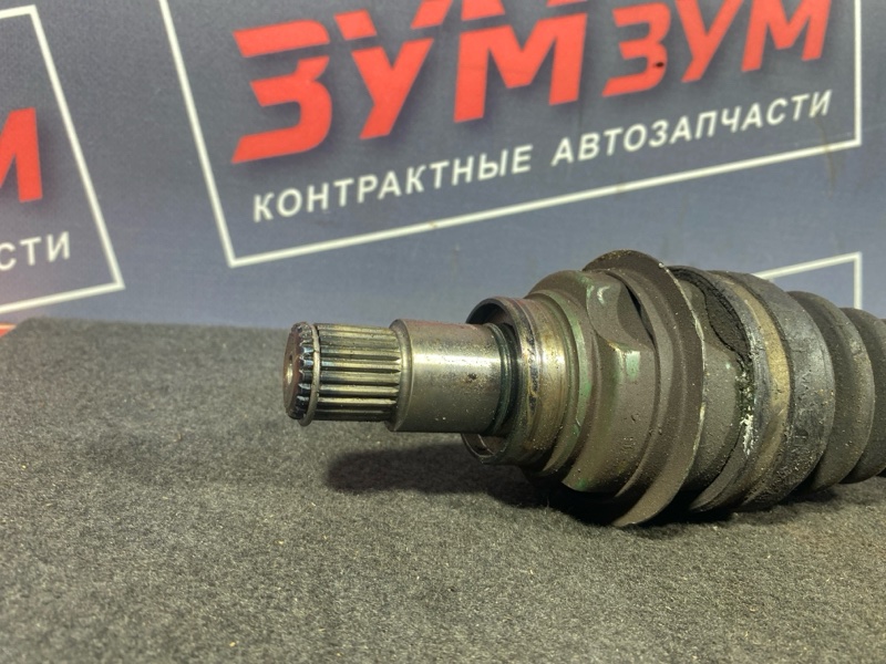 Привод, 2000 рублей, Солонцы