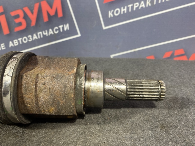 Привод, 1500 рублей, Солонцы
