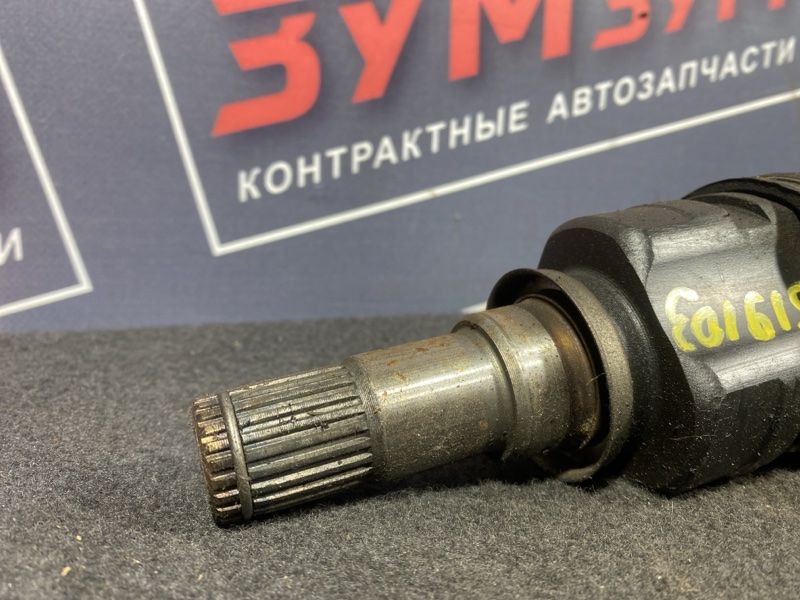 Привод, 3000 рублей, Солонцы