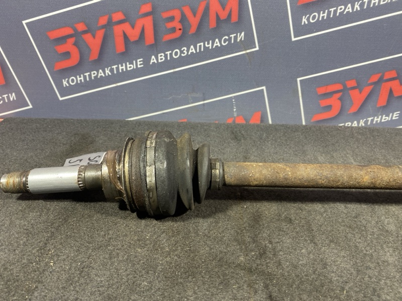 Привод, 1000 рублей, Солонцы