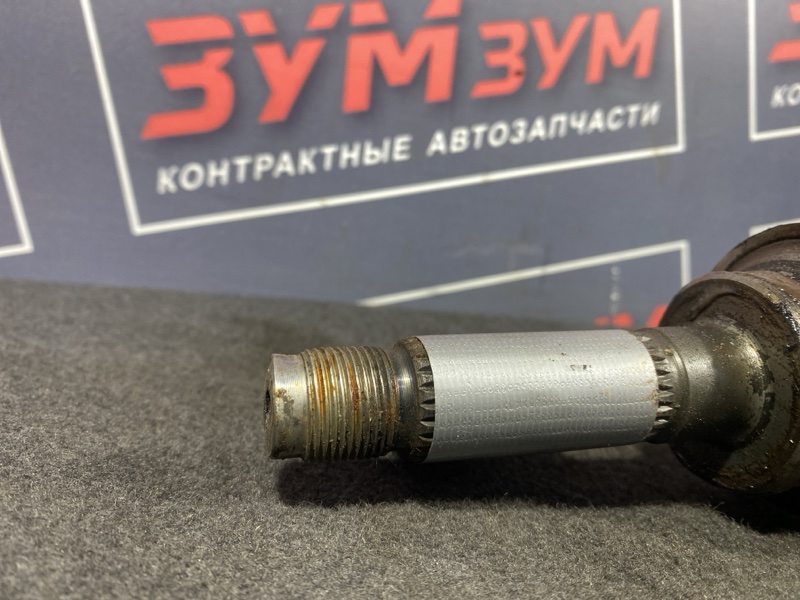 Привод, 1000 рублей, Солонцы