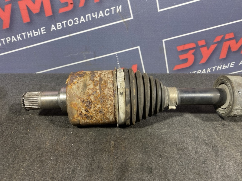 Привод, 12000 рублей, Солонцы