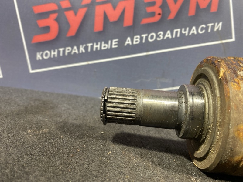 Привод, 12000 рублей, Солонцы
