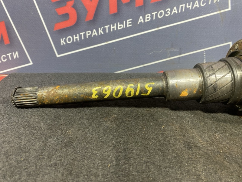 Привод, 3000 рублей, Солонцы