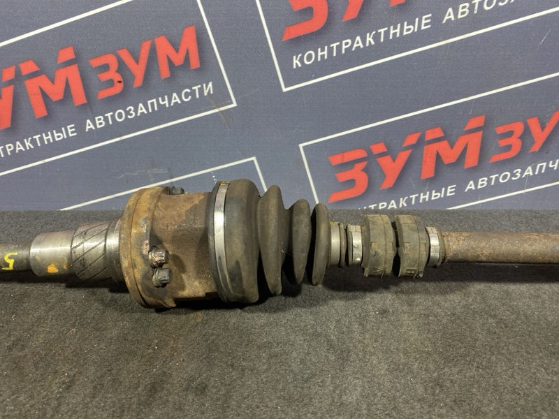 Привод, 3000 рублей, Солонцы
