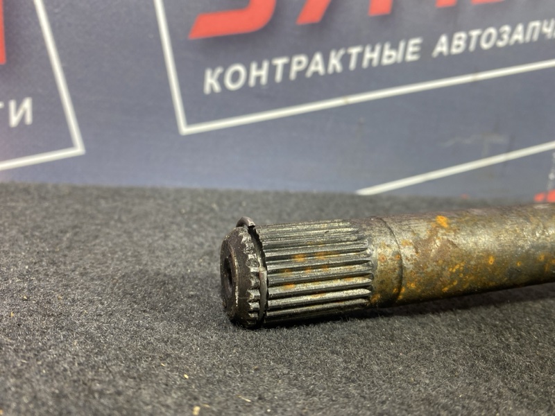 Привод, 3000 рублей, Солонцы