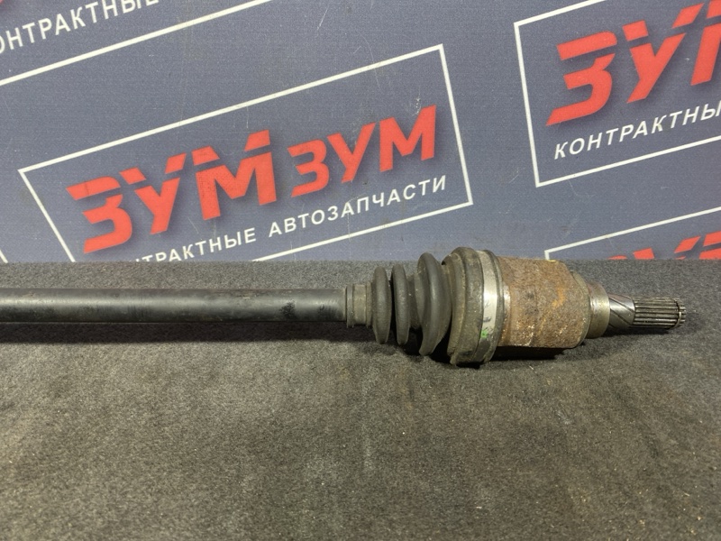 Привод, 1500 рублей, Солонцы