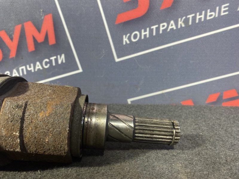 Привод, 1500 рублей, Солонцы
