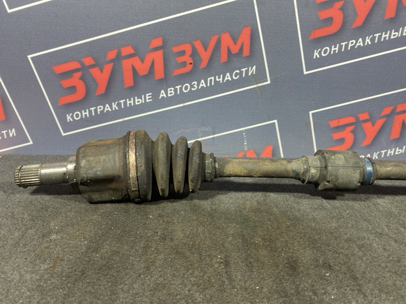 Привод, 4800 рублей, Солонцы