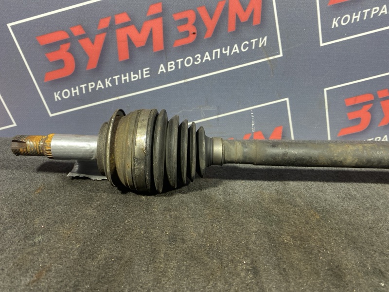 Привод, 7000 рублей, Солонцы